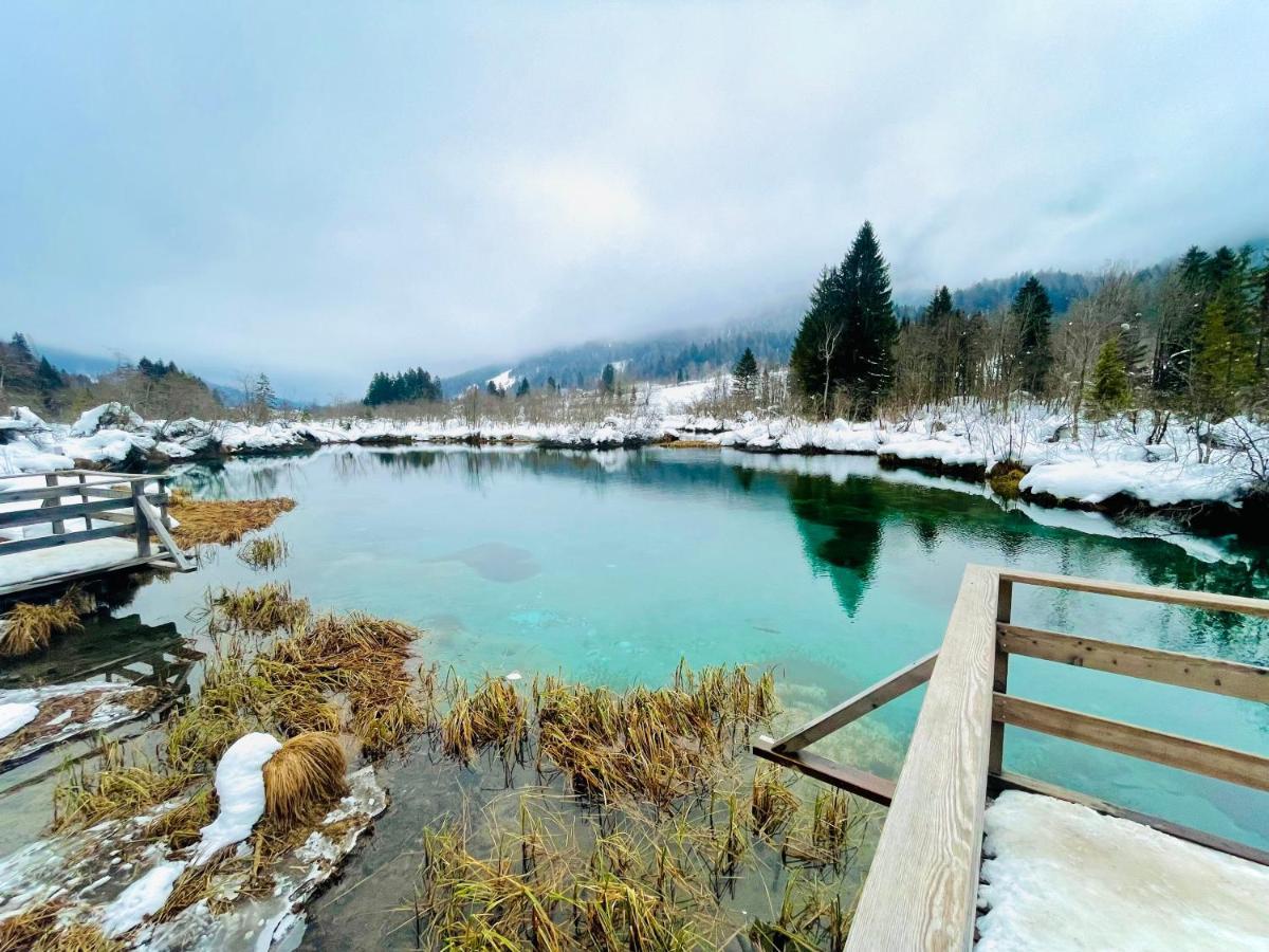 Ian'S Residence Краньска Гора Экстерьер фото